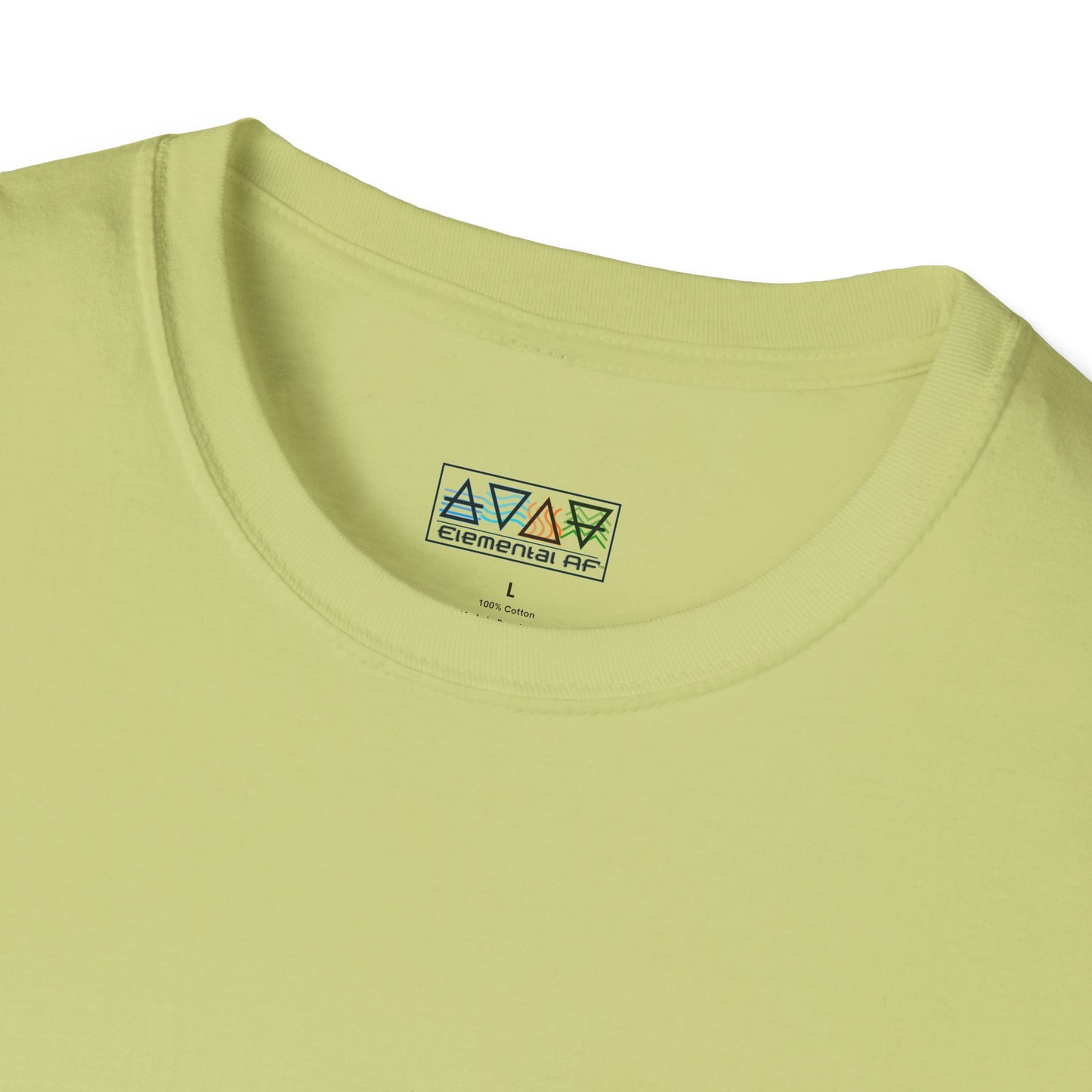 Caregiver Unisex Softstyle T-Shirt, Perfect Gift for Nurses, Health Workers, Caregivers, Appreciation Day, Wellness Wear