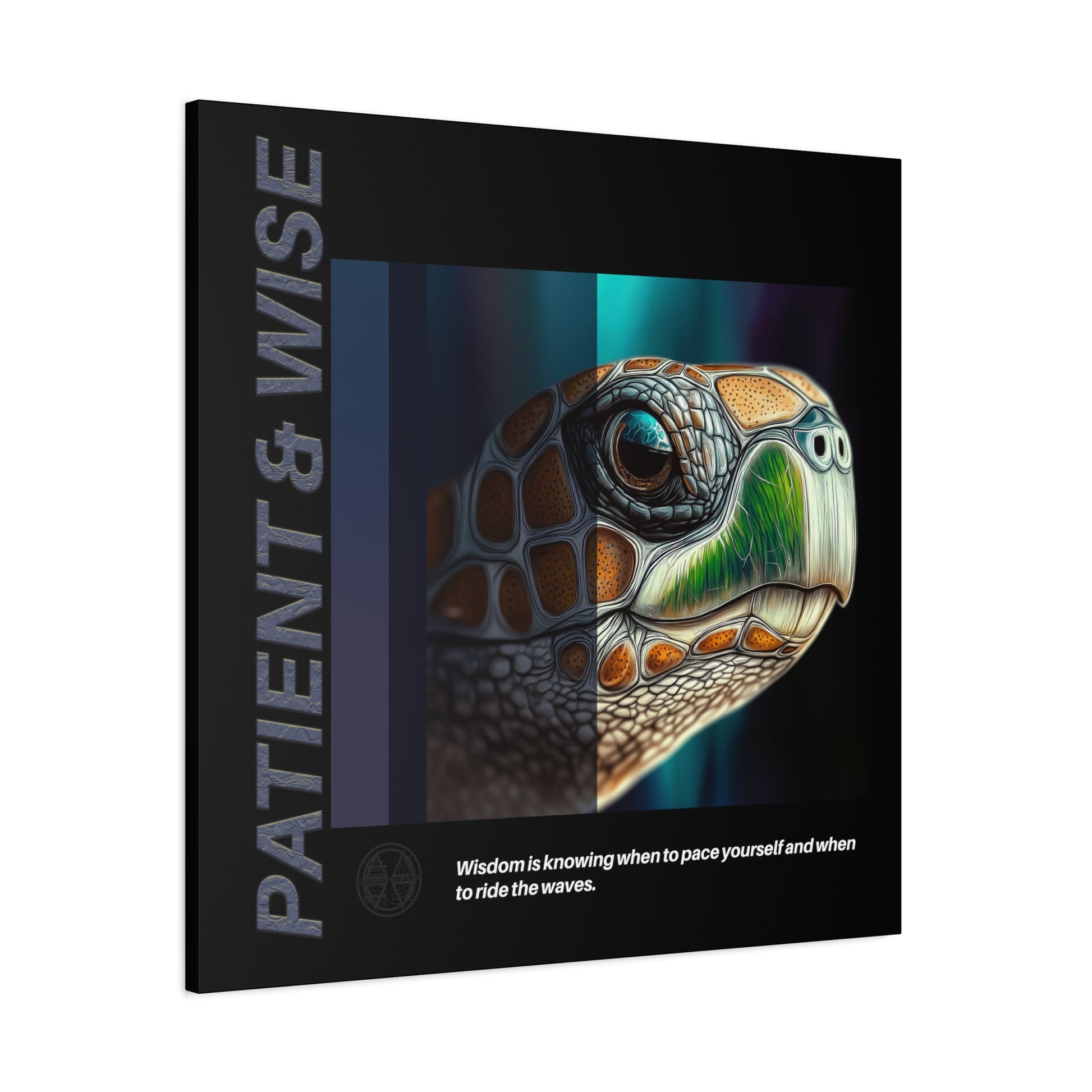 Canvas Art, Inspirational Turtle Wall Decor, Motivational Home Decor, Nature Gift, Abstract Animal Artwork, Wildlife, Patient & Wise