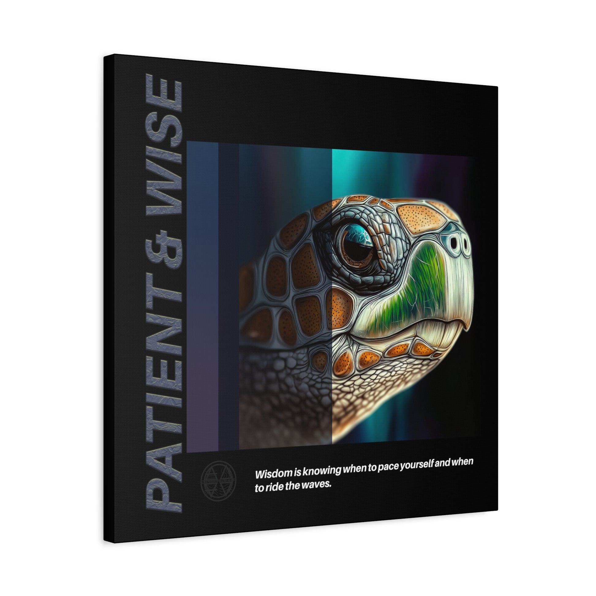Canvas Art, Inspirational Turtle Wall Decor, Motivational Home Decor, Nature Gift, Abstract Animal Artwork, Wildlife, Patient & Wise