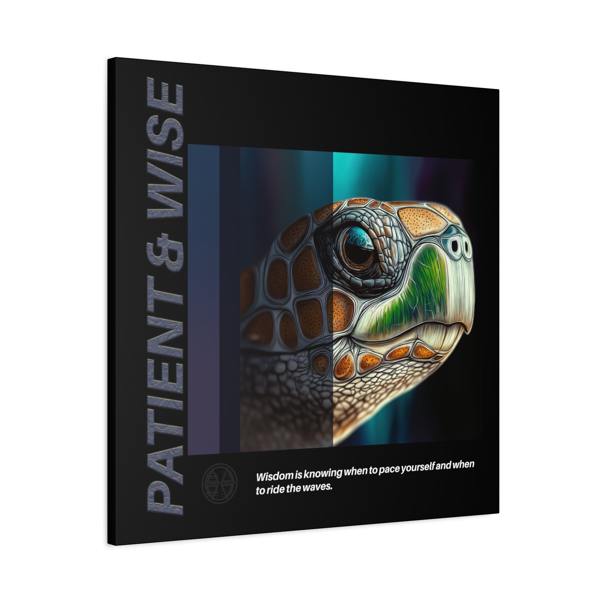 Canvas Art, Inspirational Turtle Wall Decor, Motivational Home Decor, Nature Gift, Abstract Animal Artwork, Wildlife, Patient & Wise