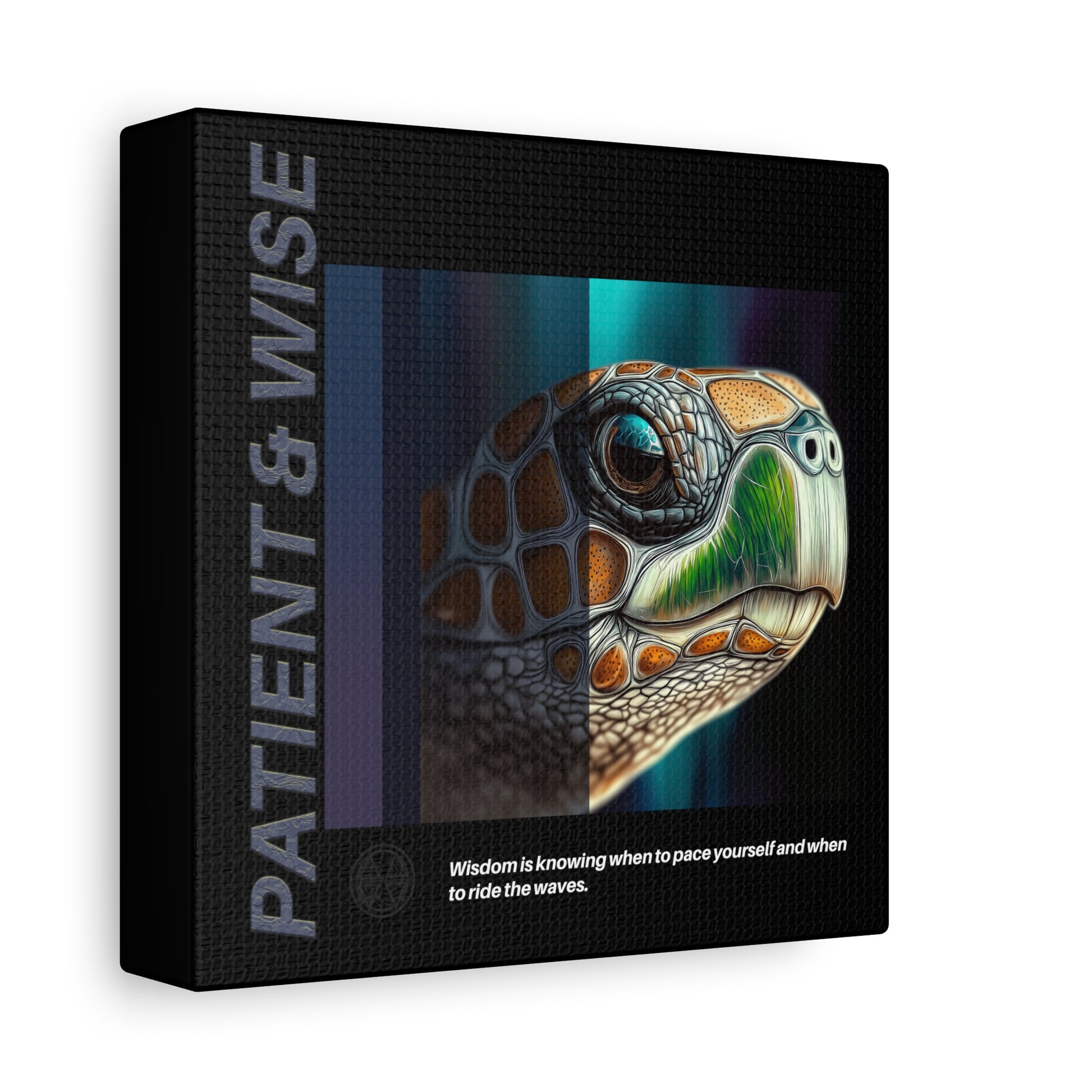 Canvas Art, Inspirational Turtle Wall Decor, Motivational Home Decor, Nature Gift, Abstract Animal Artwork, Wildlife, Patient & Wise