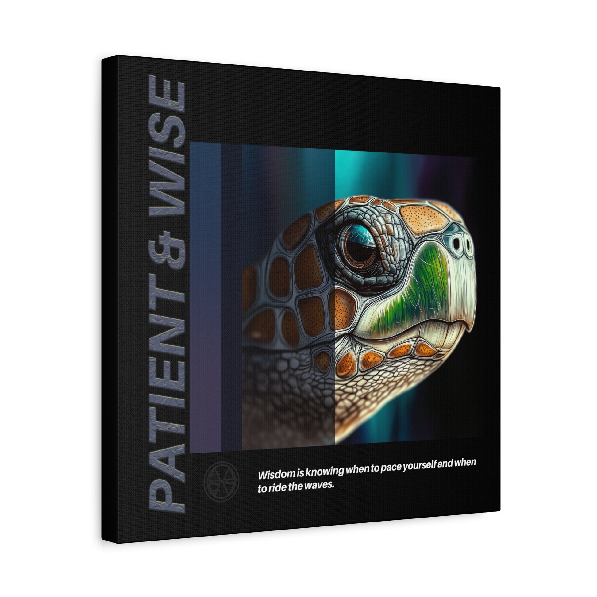 Canvas Art, Inspirational Turtle Wall Decor, Motivational Home Decor, Nature Gift, Abstract Animal Artwork, Wildlife, Patient & Wise
